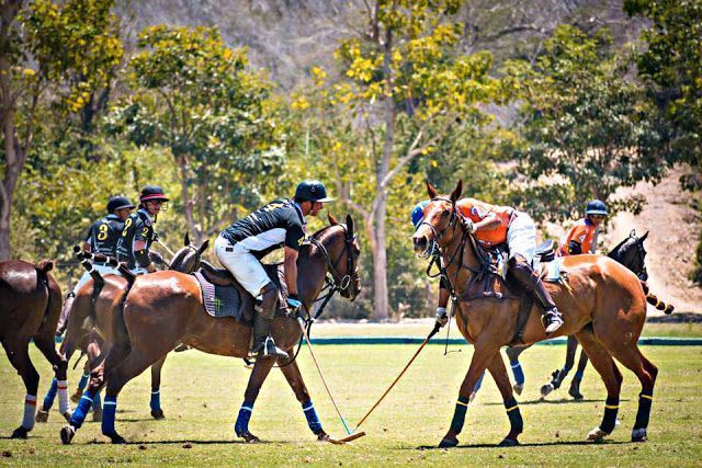 Inicia la cuarta Copa Jaguar Riviera Nayarit