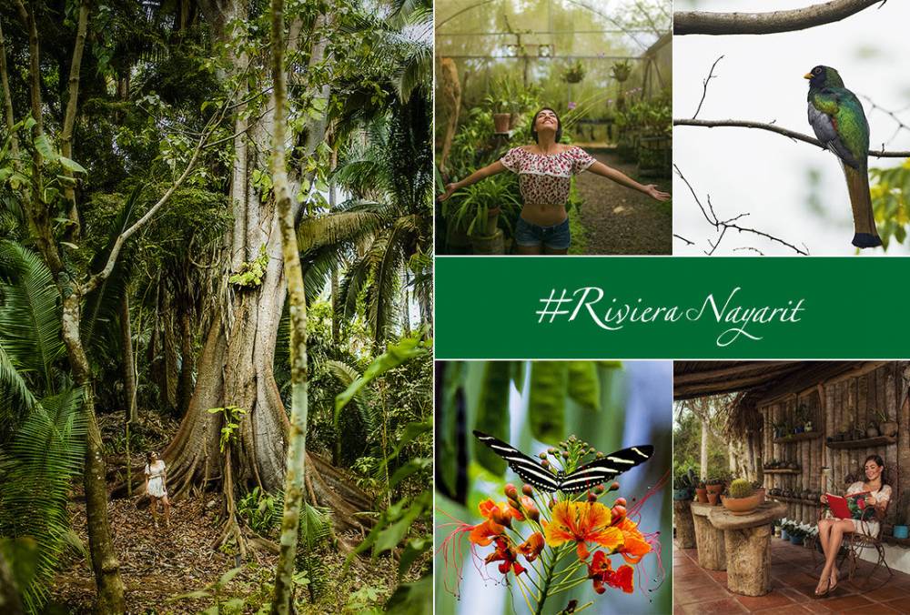Ver para creer en Riviera Nayarit: Lo de Perla, un jardín a la orilla del mar