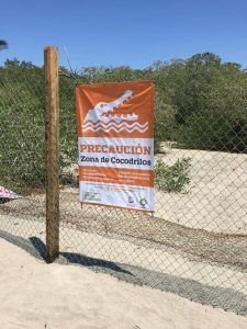 bacheo emergente pv 1