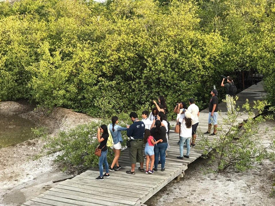 Anuncian encuentro para la recuperación del paisaje sonoro del Estero El Salado