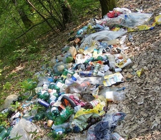 La carretera federal 200 basurero permanente