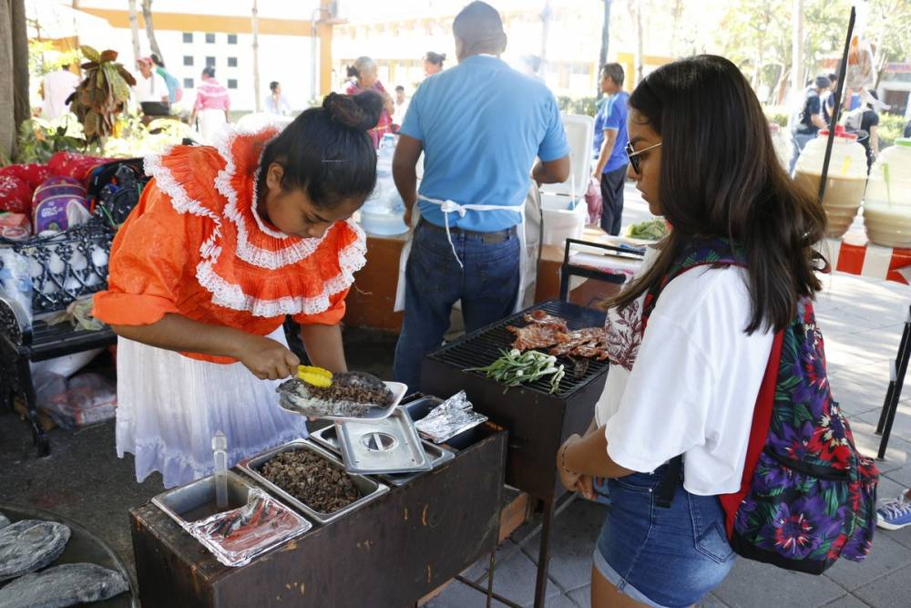 DIF PV organiza La Expo Indígena Artesanal y Gastronomica DIF PV organiza La Expo Indígena Artesanal y Gastronomica