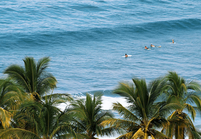 punta del burro surf break