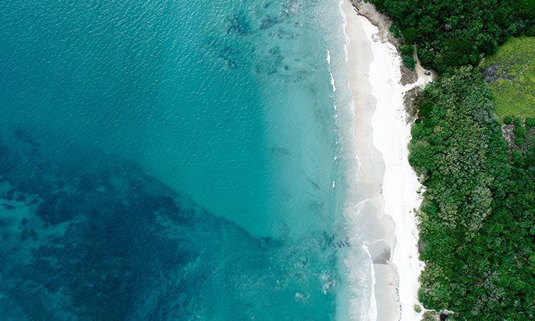 la lancha punta de mita