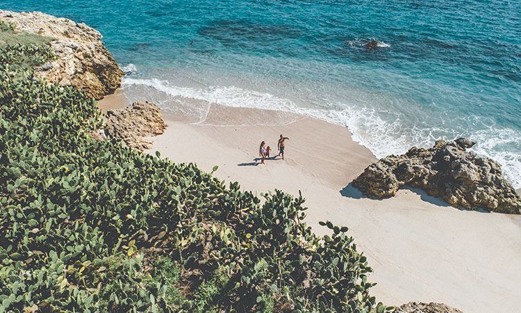 playa nopalera