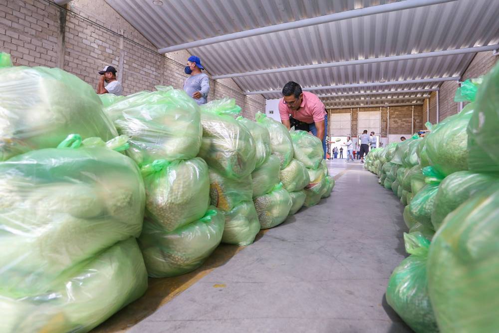Lista la tercera entrega de apoyos ‘Es por Vallarta’ Lista la tercera entrega de apoyos ‘Es por Vallarta’