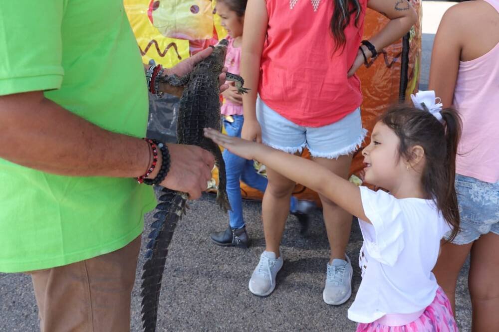 Gran afluencia de público en el Primer Festival Animal en Bahía de Banderas