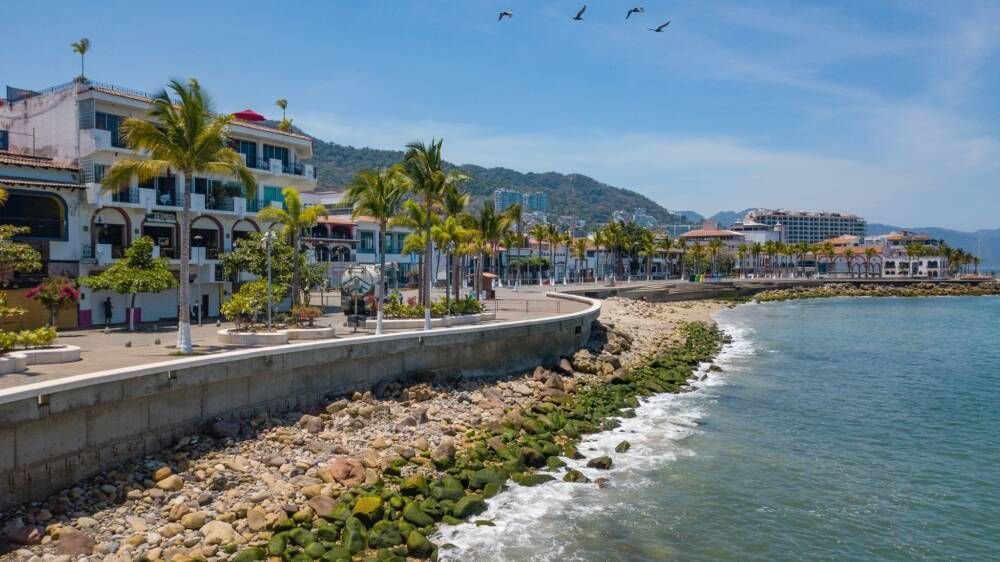 SEAPAL preparado para mayor consumo en Semana Santa