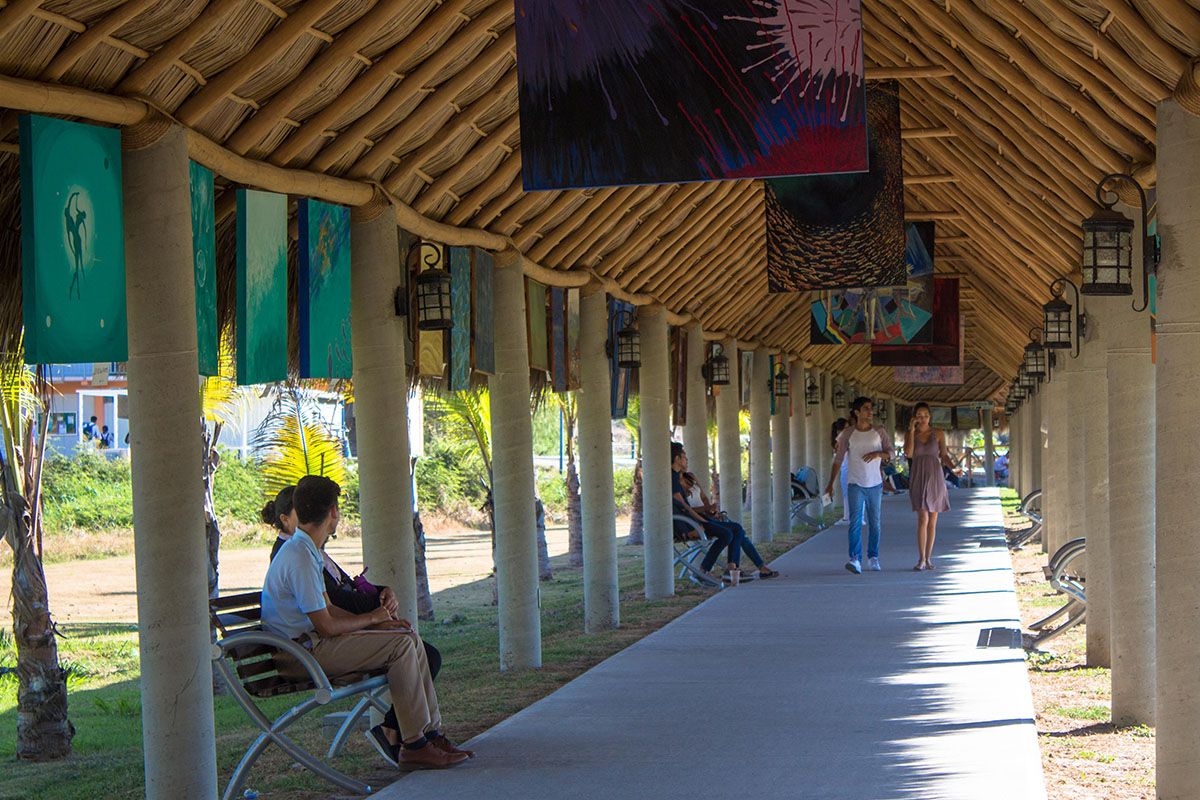 Realizan 1,590 aspirantes examen de admisión en el CUC Realizan 1,590 aspirantes examen de admisión en el CUC
