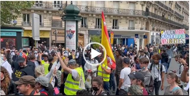 Videos: masivas marchas contra el pase sanitario en Europa