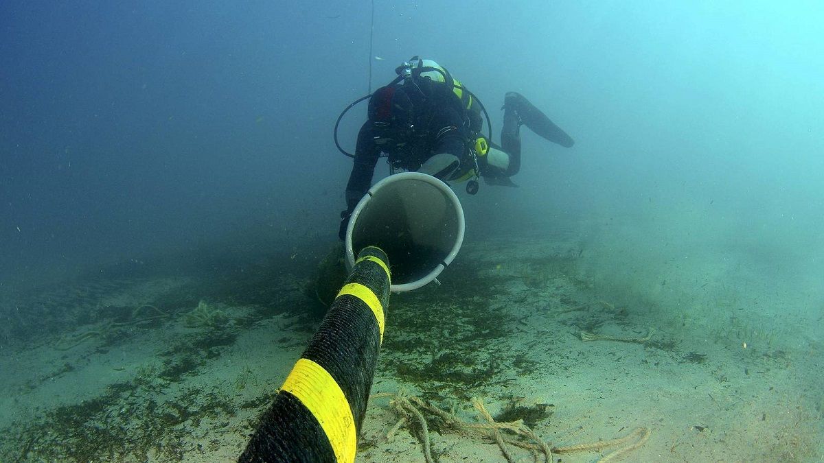 De Baja California a Yucatán: Áreas Naturales Protegidas Marinas, reprobadas