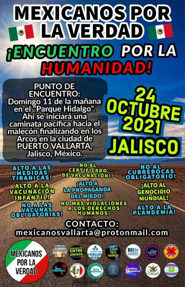 Mexicanos por la Verdad