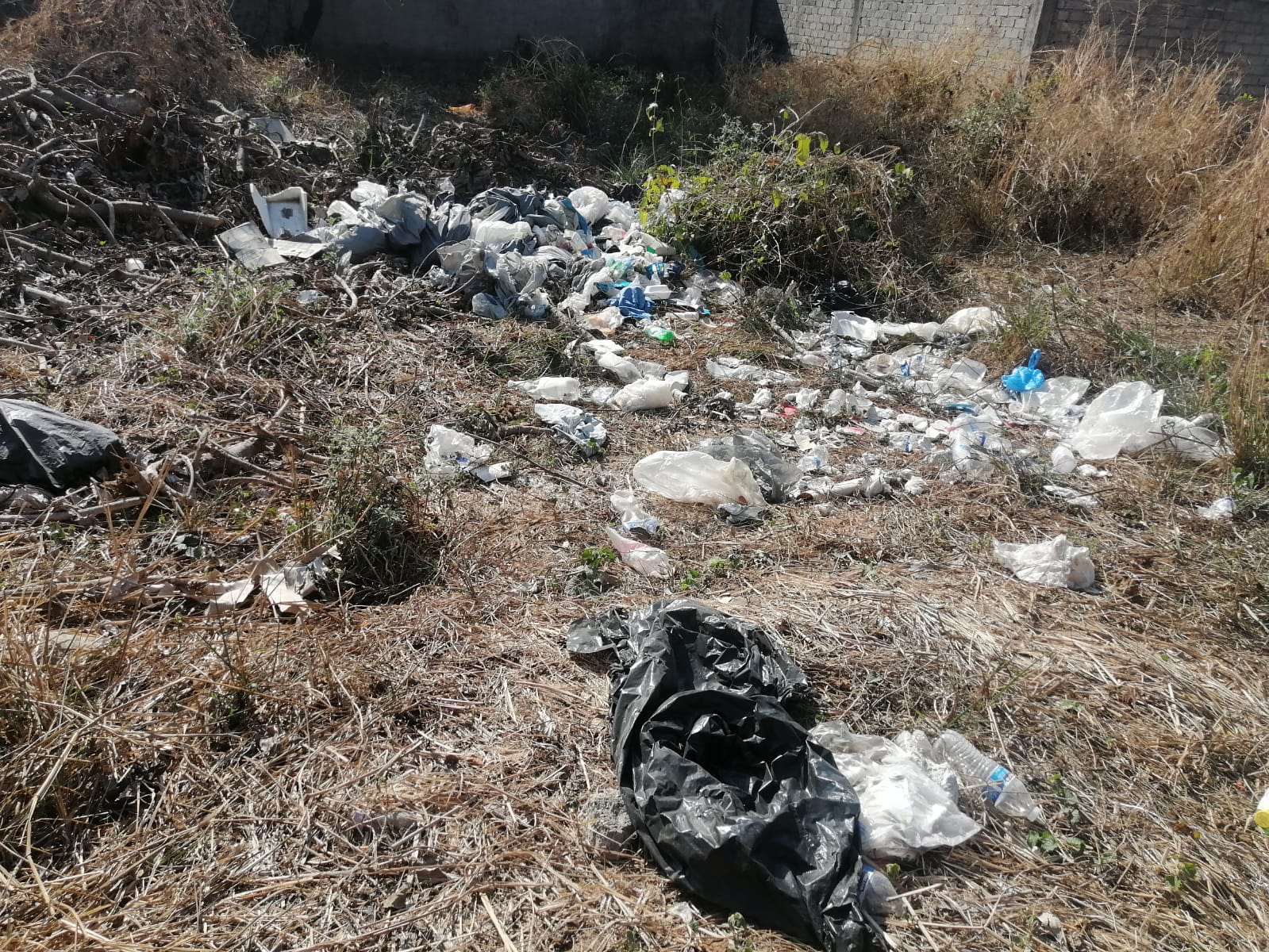 WhatsApp Image 2022 03 03 at 11.47.57 3