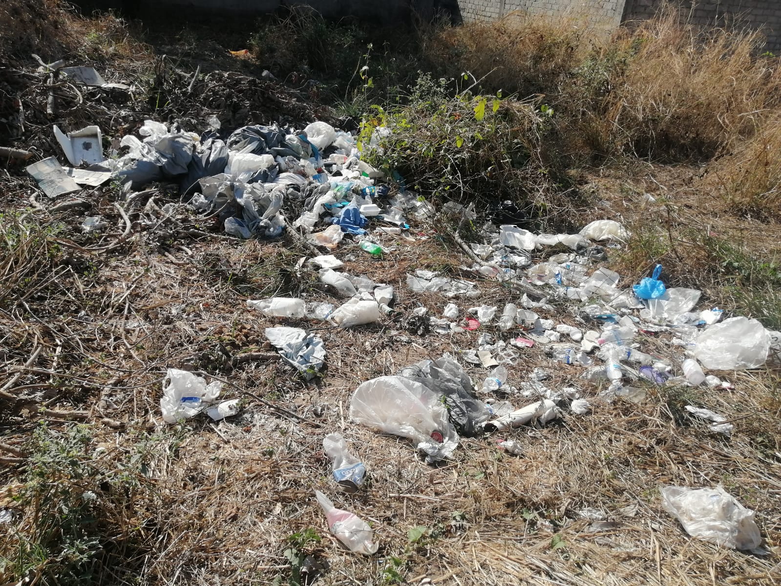 WhatsApp Image 2022 03 03 at 11.47.58