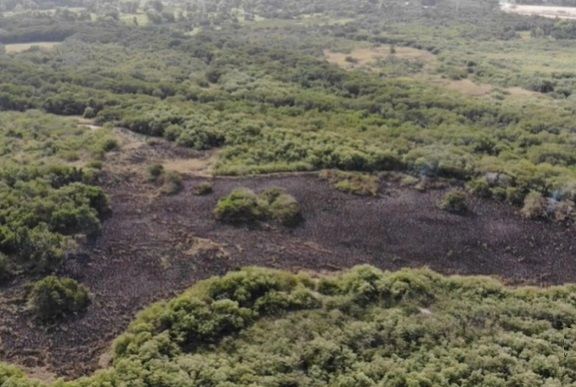 Al menos tres incendios registrados en los últimos 4 años en el Estero El Salado Al menos tres incendios registrados en los últimos 4 años en el Estero El Salado