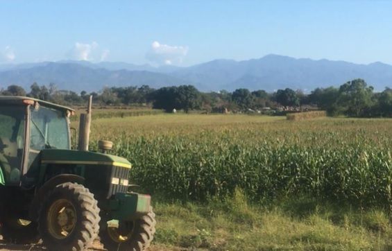Falta generarle opciones a los ejidatarios para que no vendan sus tierras Falta generarle opciones a los ejidatarios para que no vendan sus tierras