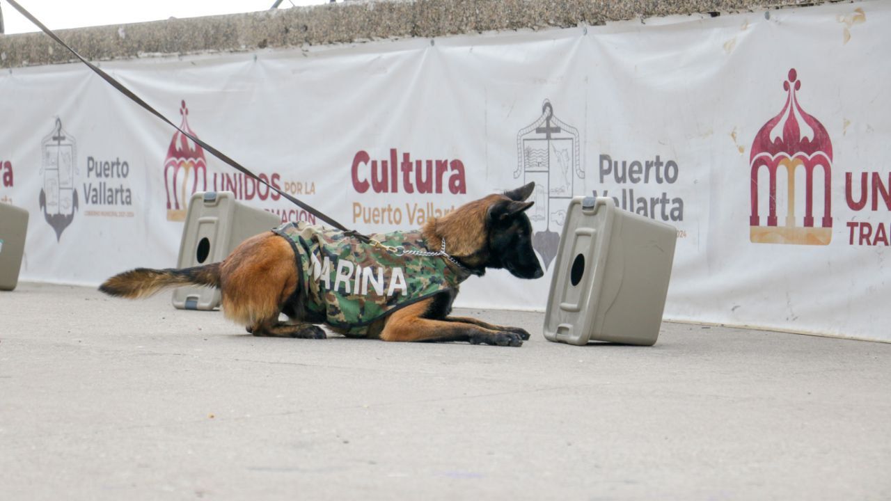 Realizan Fuerzas Armadas impresionantes ejercicios de rescate 6 ACOMUNICADO 479 4