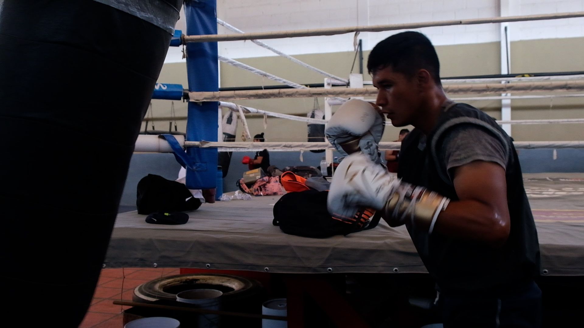 escuelas de box