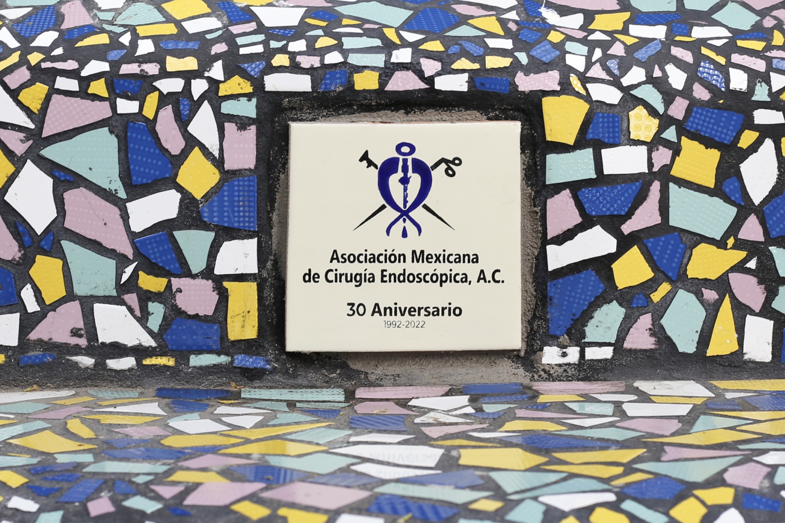 Celebra 30 años Asociación Mexicana de Cirugía Endoscópica 5 Cirugía Endoscópica