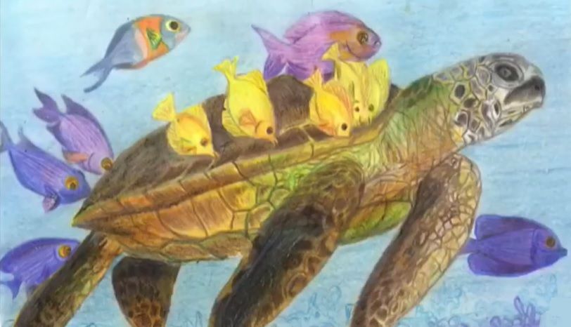 Invita el Campamento Tortuguero El Naranjo a su concurso de dibujo Invita el Campamento Tortuguero El Naranjo a su concurso de dibujo