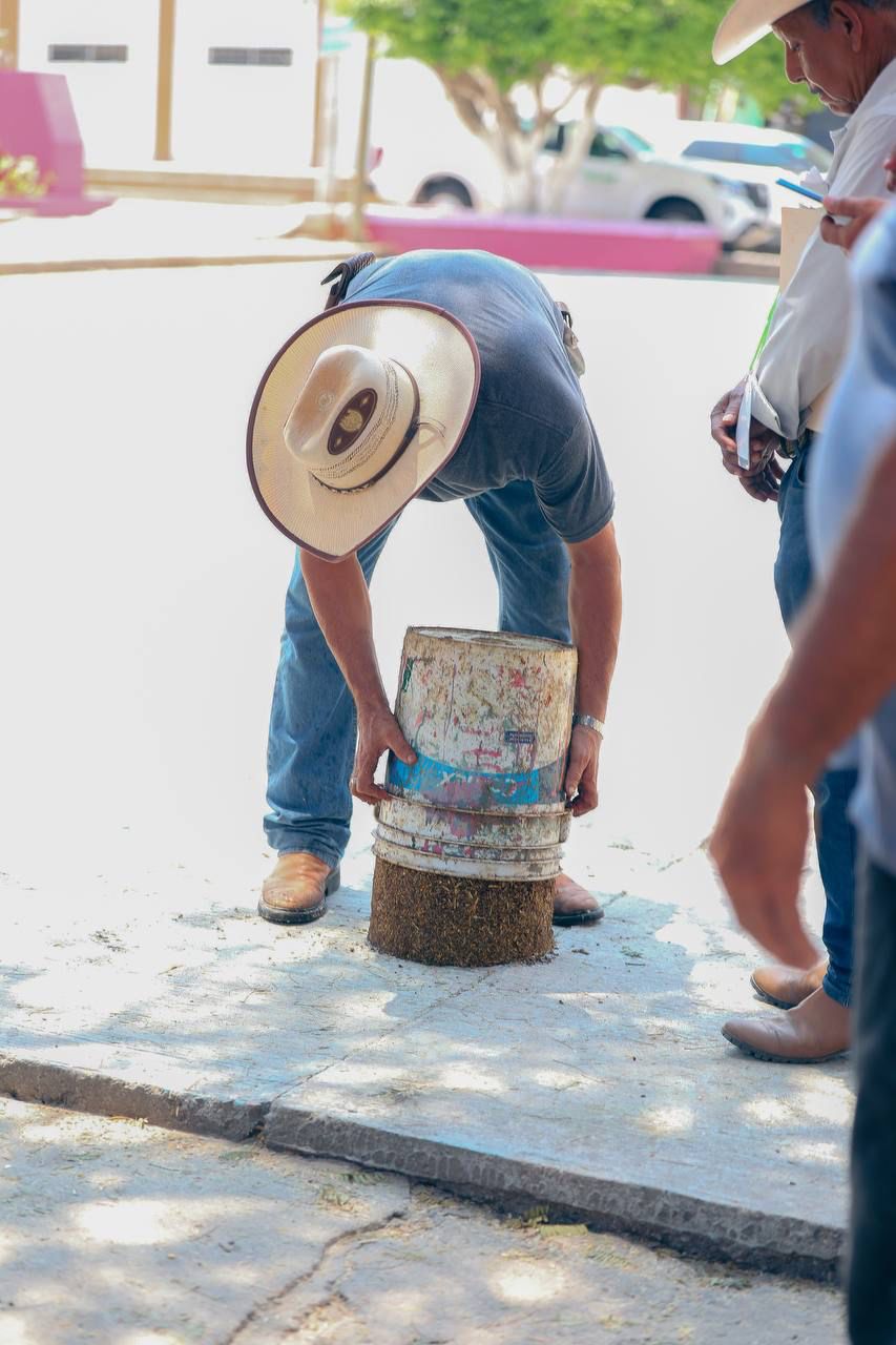 El Colomo