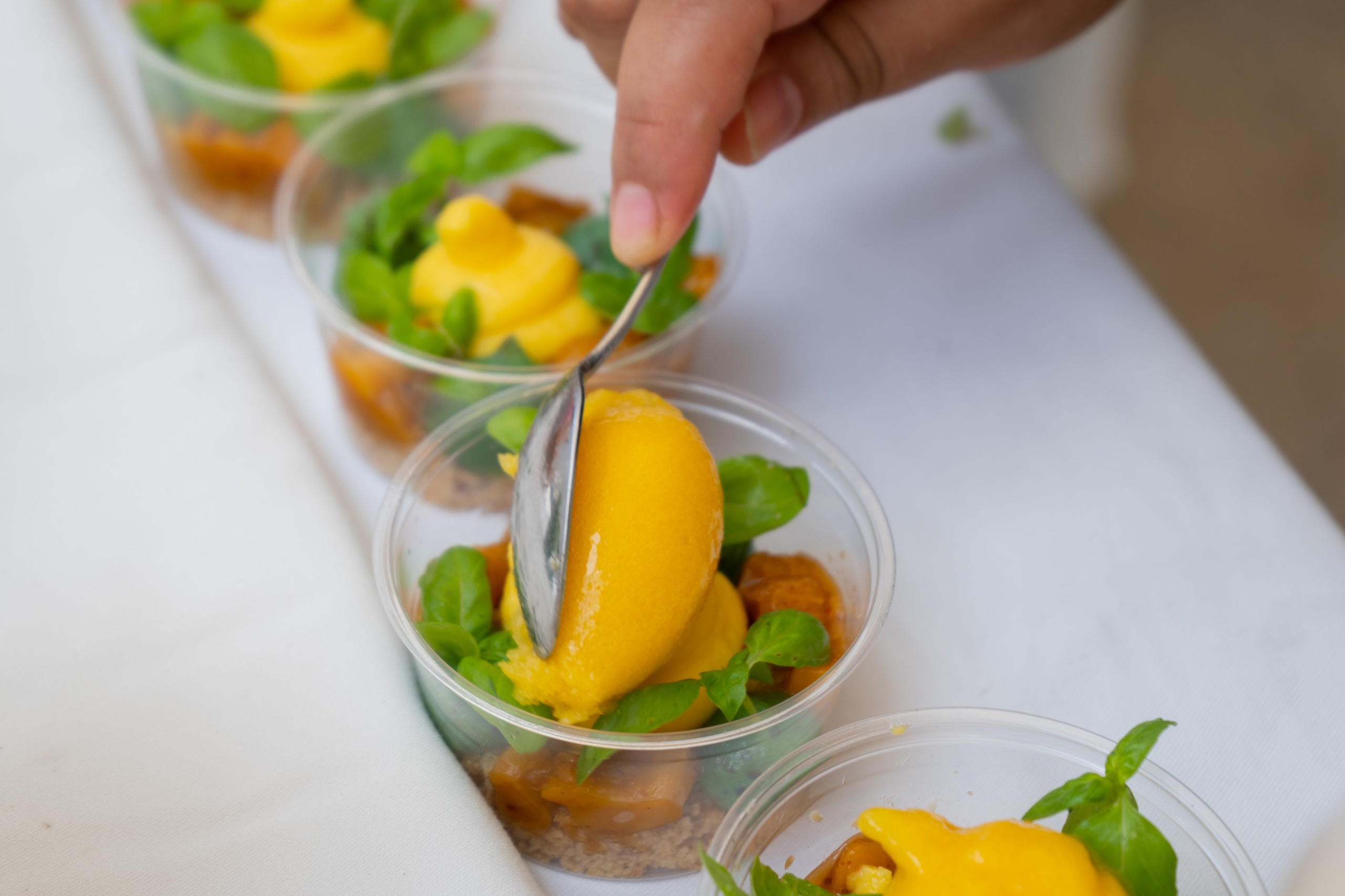 Con éxito se realizó el 4° Festival del Mango 5 Festival del Mango