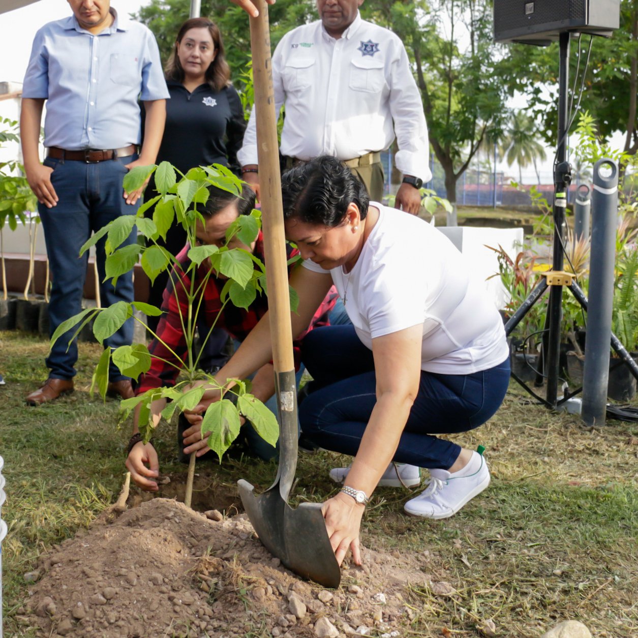 Día Mexicano del Árbol
