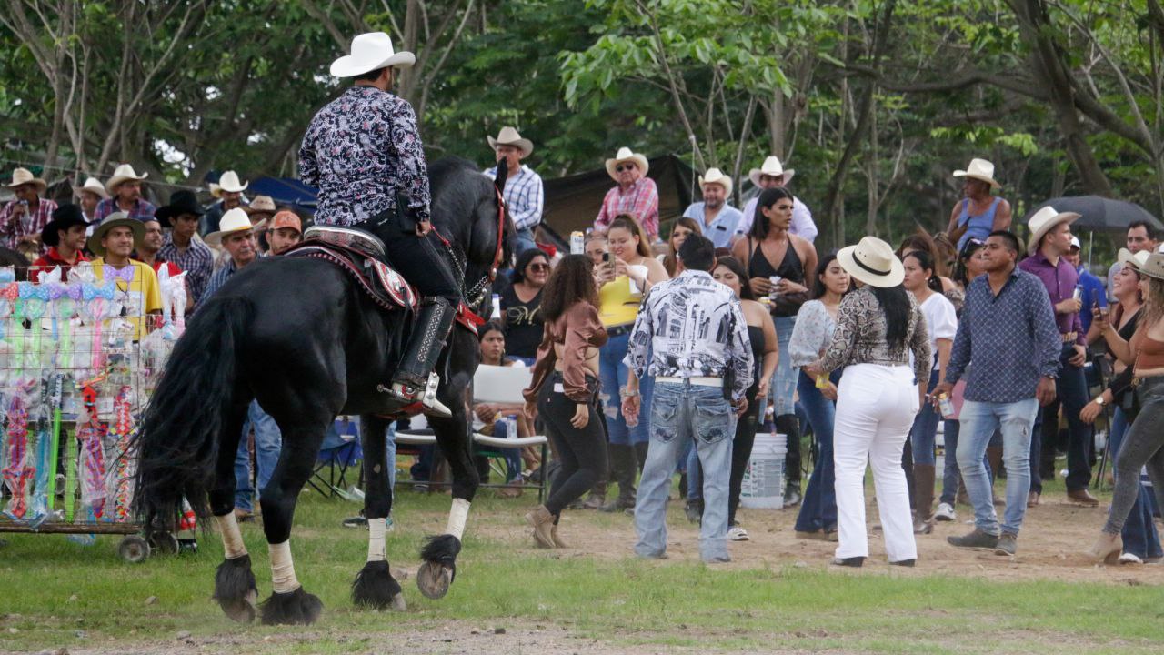 Paseadas