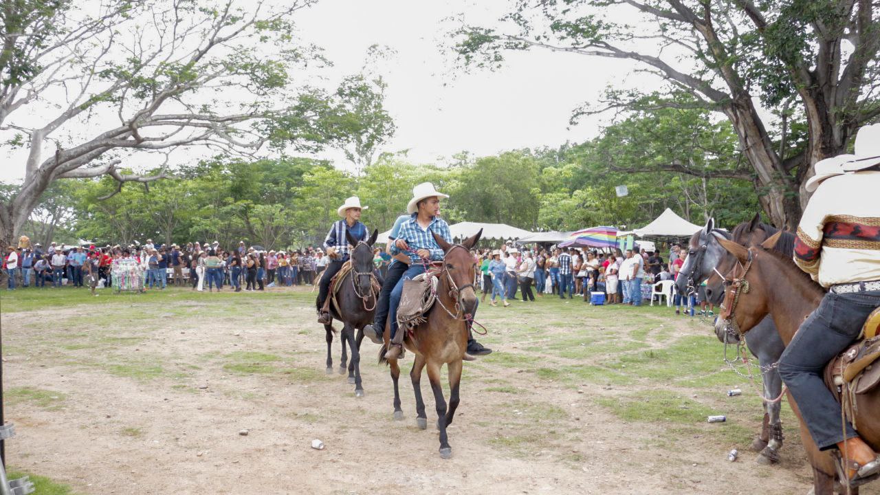 Paseadas