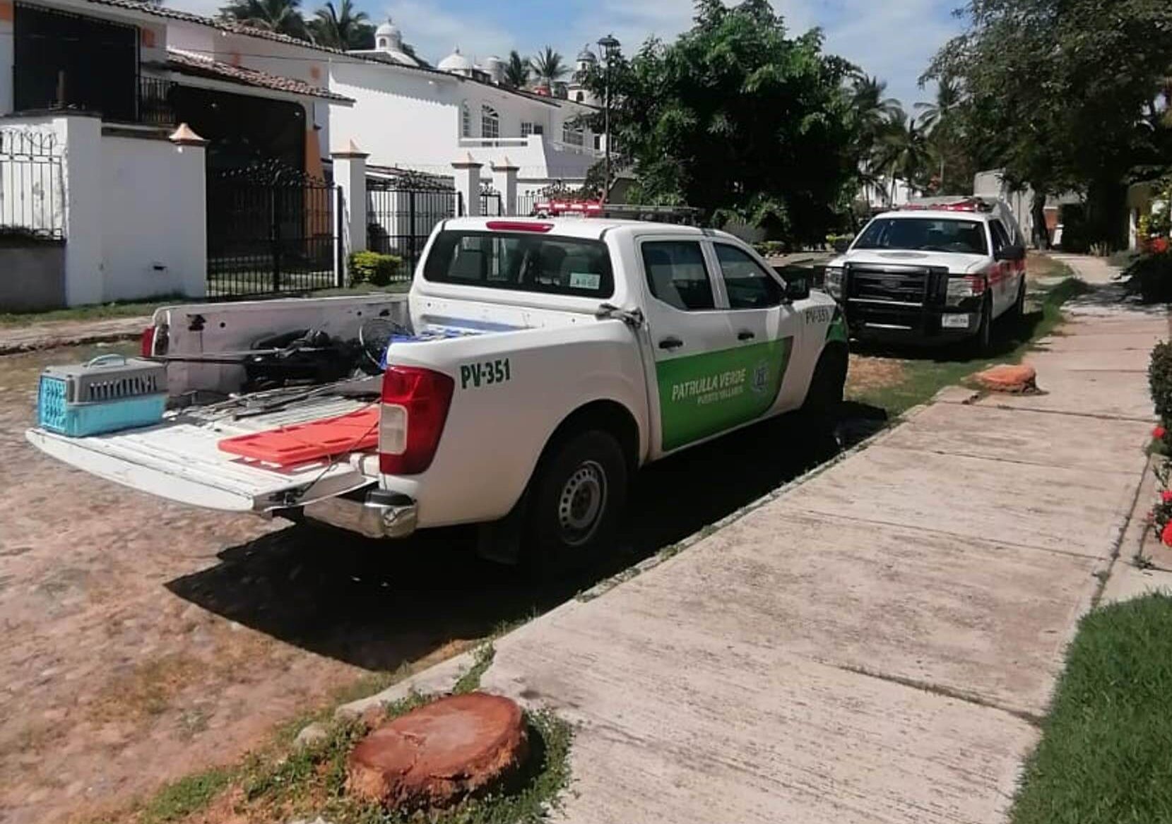 Patrulla Verde