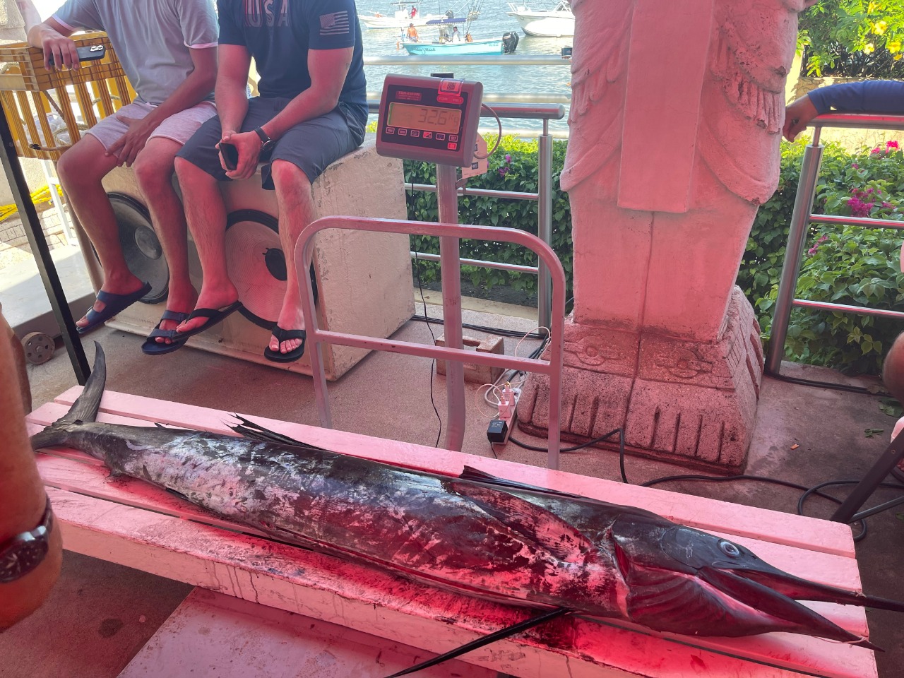 marlin