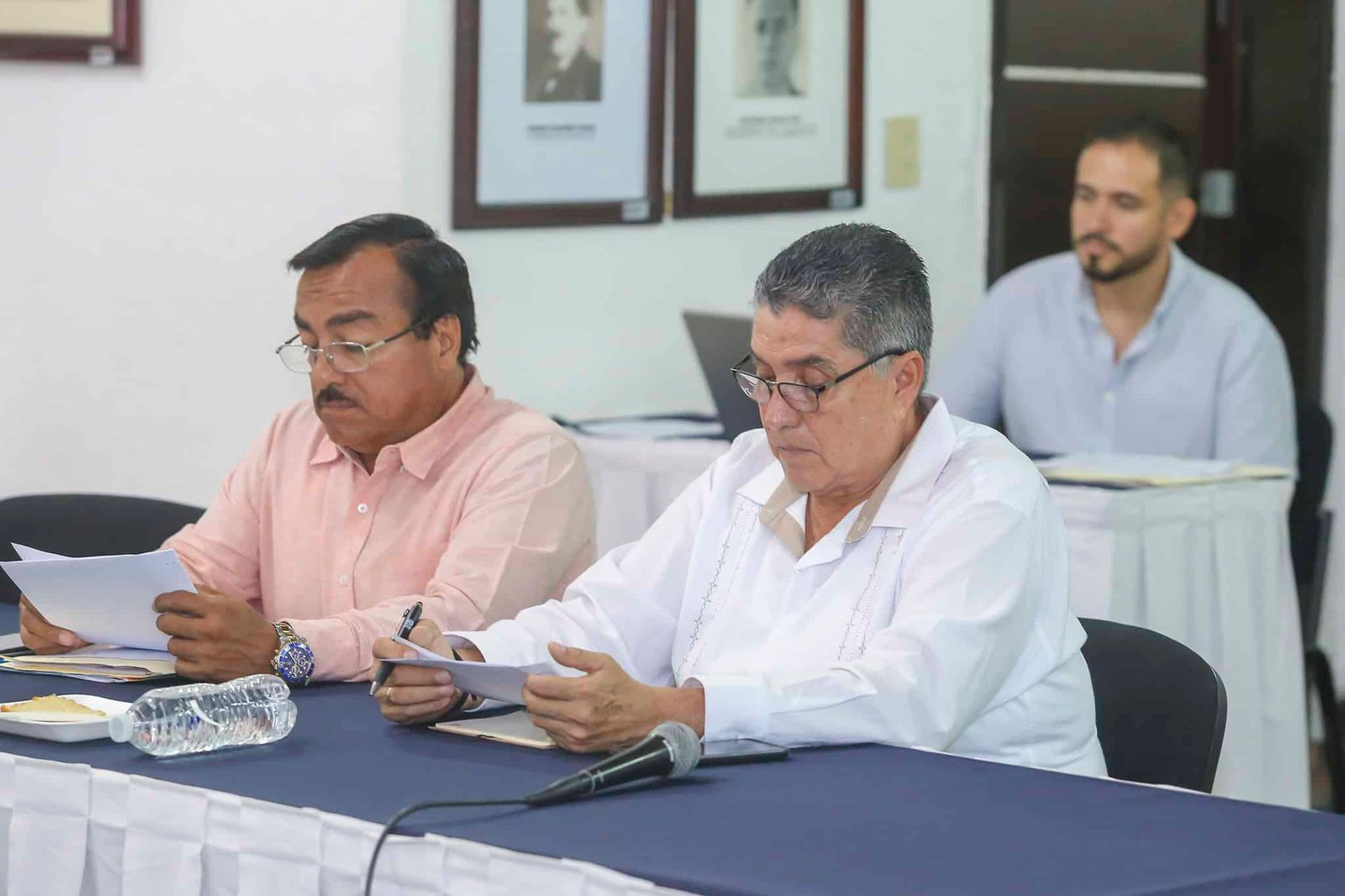 fomento agropecuario