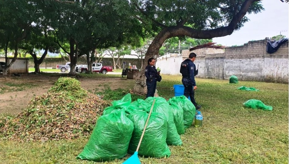 Comisaría trabaja en la reactivación de parques y espacios públicos