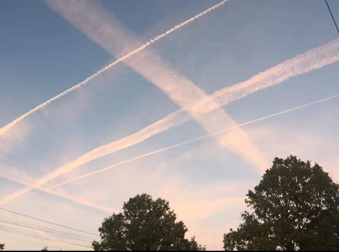 337852114 1461866791252176 6573238465665100841 n