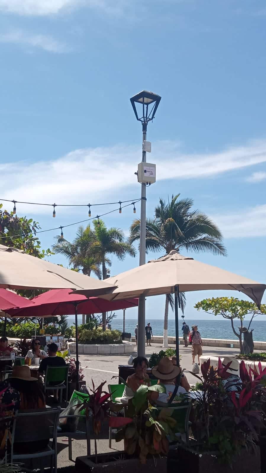 Cuenta Puerto Vallarta con puntos de gratuito • Noticias de