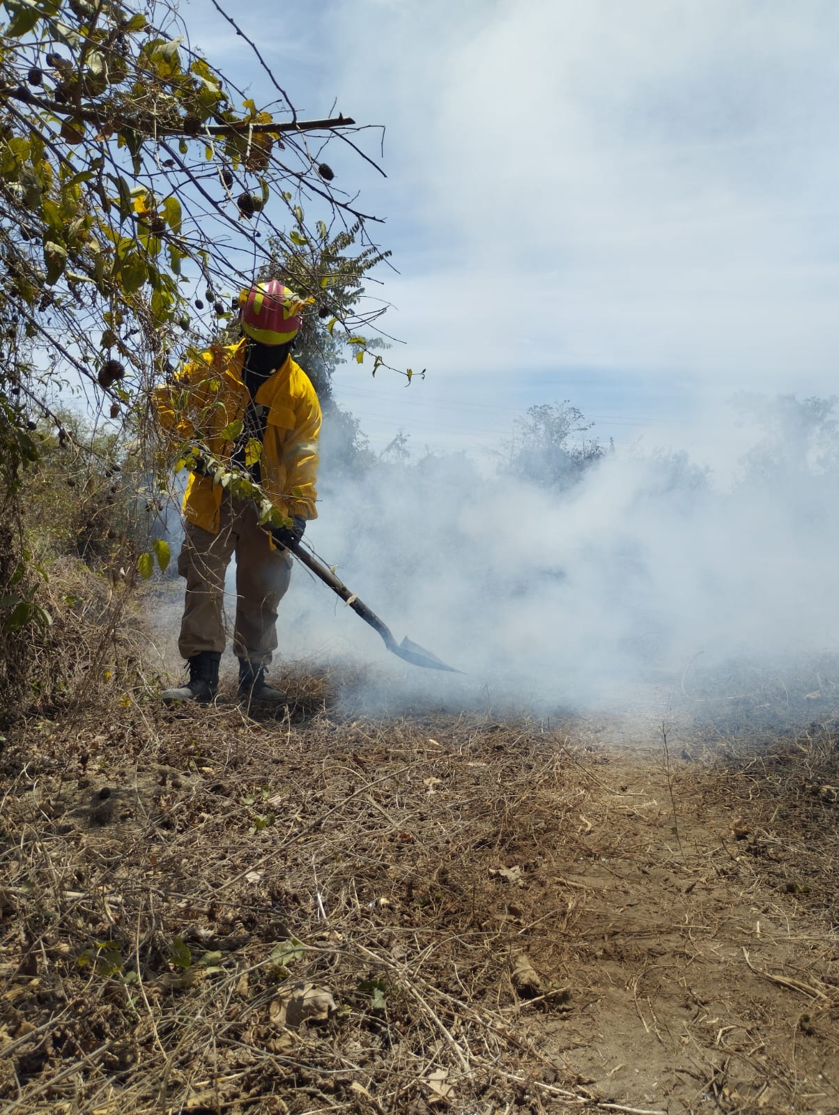 incendio forestal