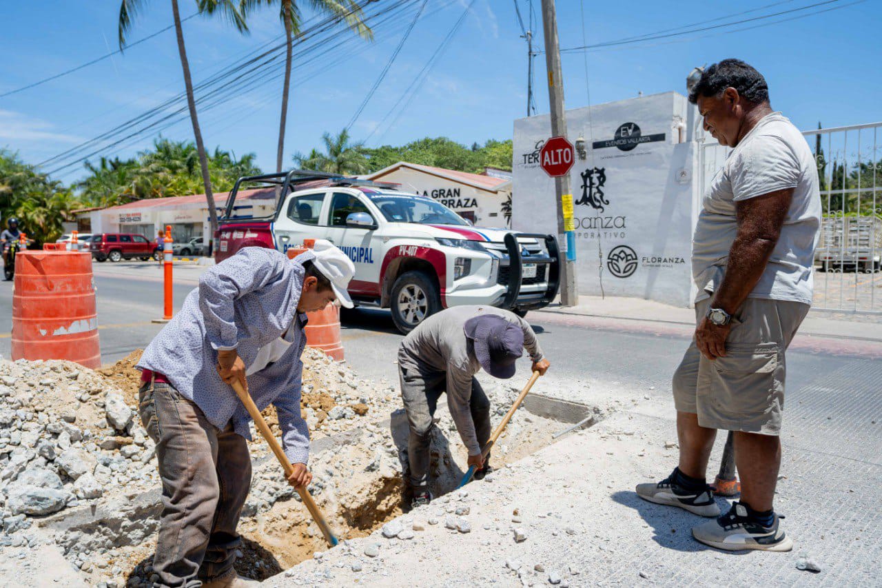 Avanzan obras de SEAPAL en calle Viena