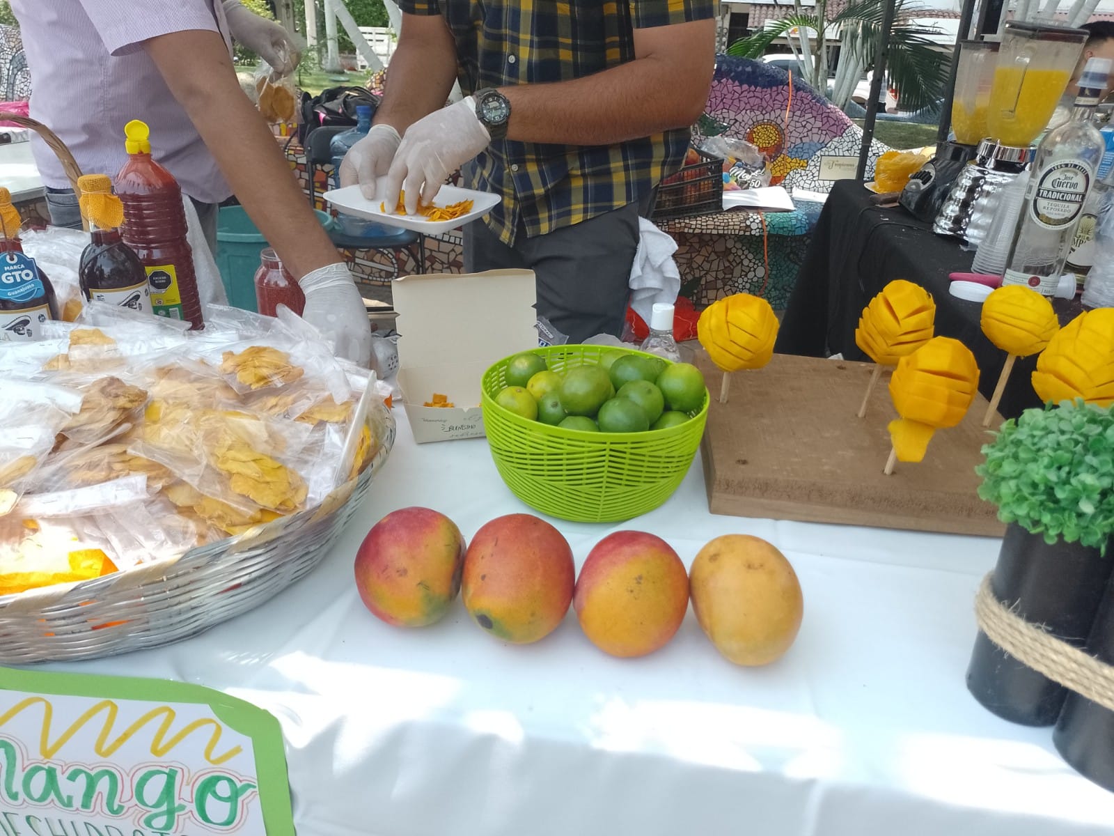 Exitoso 5° Festival del Mango en Puerto Vallarta