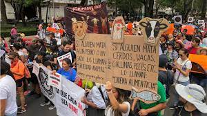 Iniciativa del día por la No violencia contra los animales 1 descarga 1