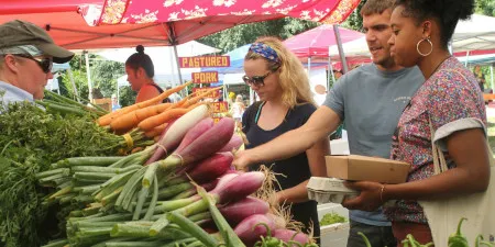 77c19827 05ff 4d88 b577