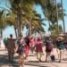 Puerto Vallarta disfruta de un verano en pleno auge