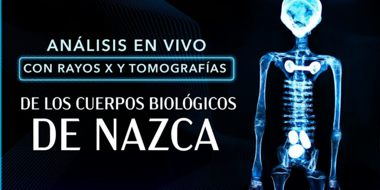 Análisis: Las momias de Nazca son reales Análisis: Las momias de Nazca son reales