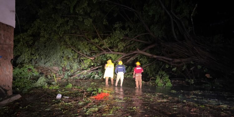 “Lidia” sólo dejó algunos daños materiales en Puerto Vallarta