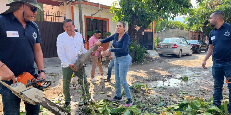 Bahía de Banderas se une a Puerto Vallarta en labores de recuperación tras el huracán «Lidia» Bahía de Banderas se une a Puerto Vallarta en labores de recuperación tras el huracán «Lidia»