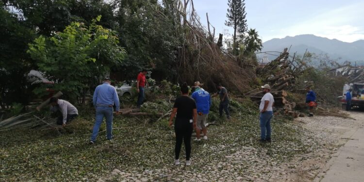 Intensa jornada de limpieza en Puerto Vallarta tras el paso de «Lidia» Intensa jornada de limpieza en Puerto Vallarta tras el paso de «Lidia»