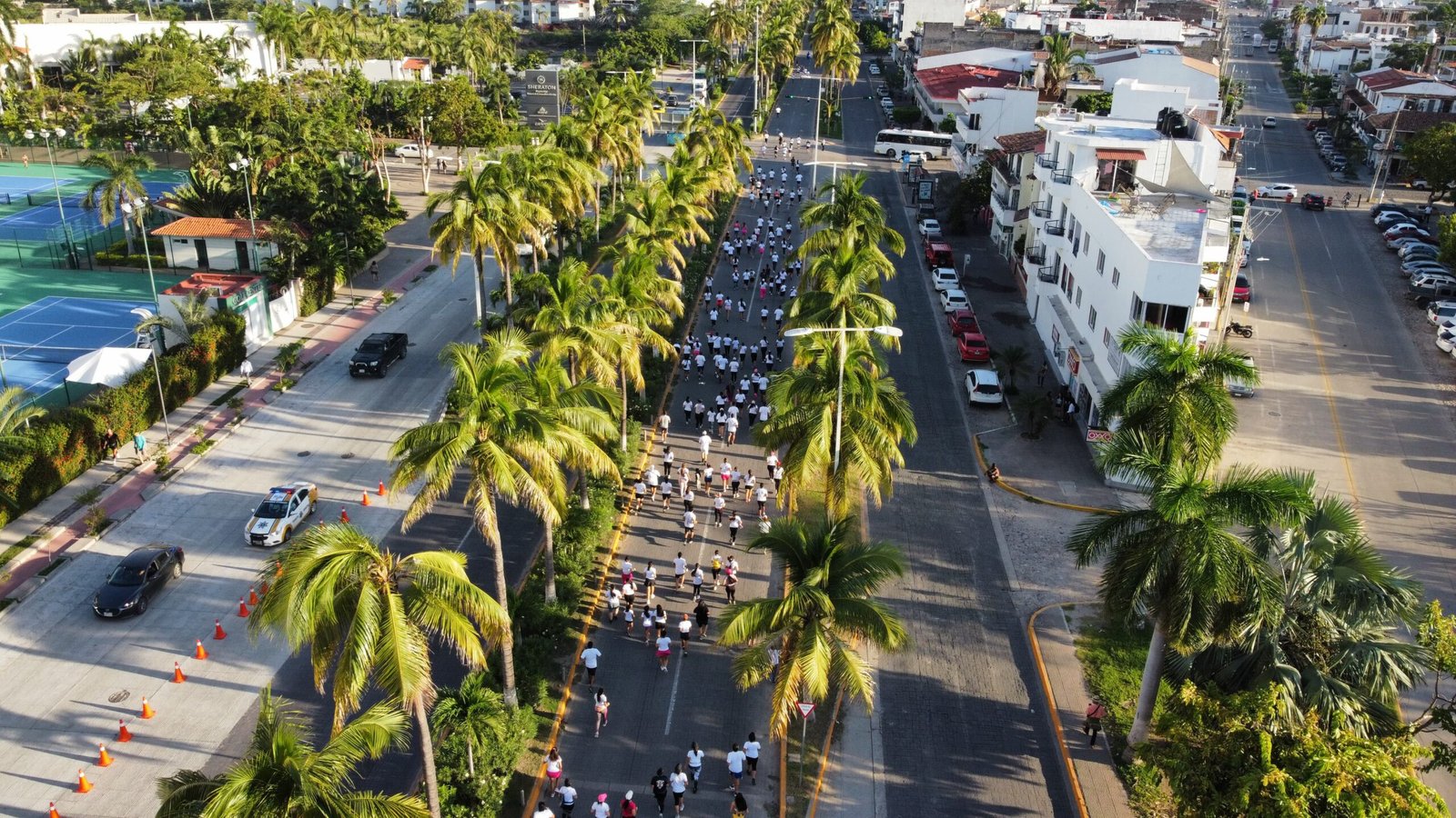 lucha contra el Cáncer de Mama