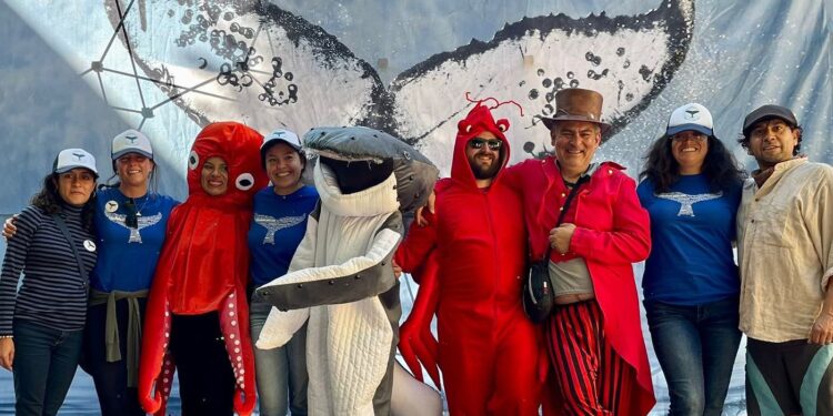 Todo listo para la gran hazaña de Nado por las Ballenas – Cruce de Bahía de Banderas
