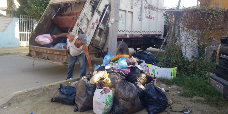 Jornada de limpieza: Recolección de 3.5 toneladas de residuos en el Arroyo del Indio Jornada de limpieza: Recolección de 3.5 toneladas de residuos en el Arroyo del Indio