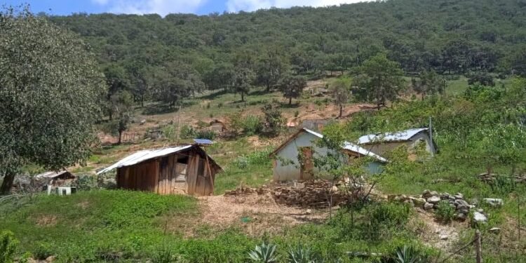 El abandono rural del Distrito 5 de Jalisco