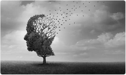 El efecto de amnesia de Gell-Mann 1 unnamed 1